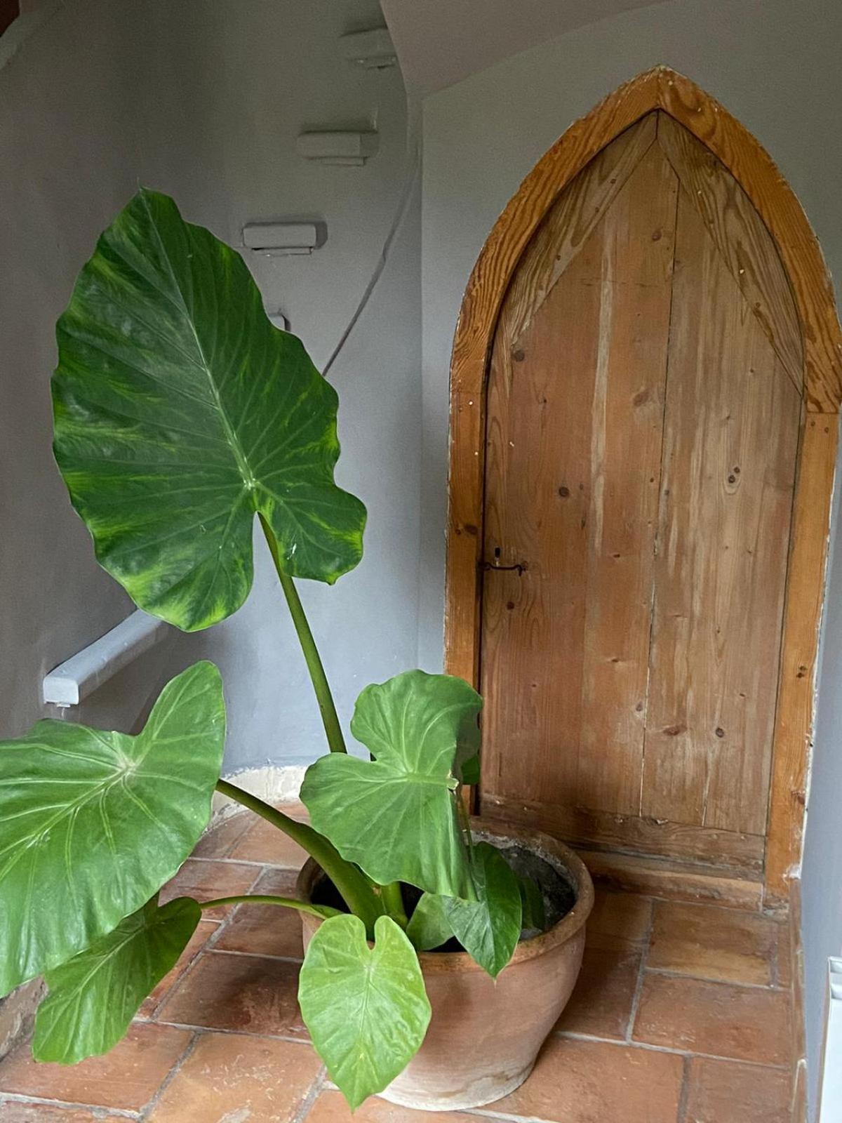 Bed and Breakfast Mas Carita Cabannes Экстерьер фото
